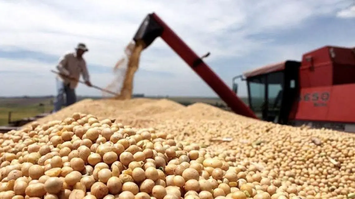 Imagen destacada del artículo El índice de confianza en el sector agropecuario aumenta tras la caída en la producción de soja