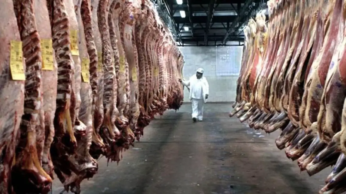 Imagen destacada del artículo Suspensión de las exportaciones de carne por parte del Gobierno